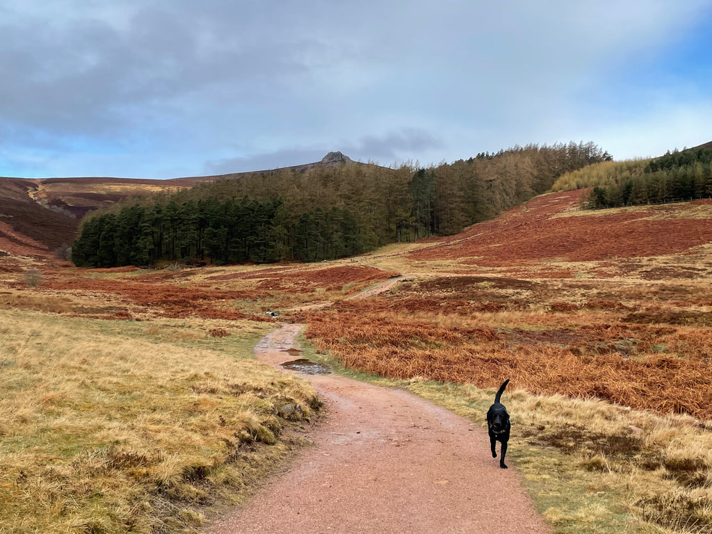 Musings On The Art of Slowing Down + Seeking Solitude in The Scottish Highlands